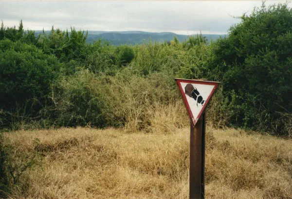 Watch out for dung beetles in Addo Elephant Park