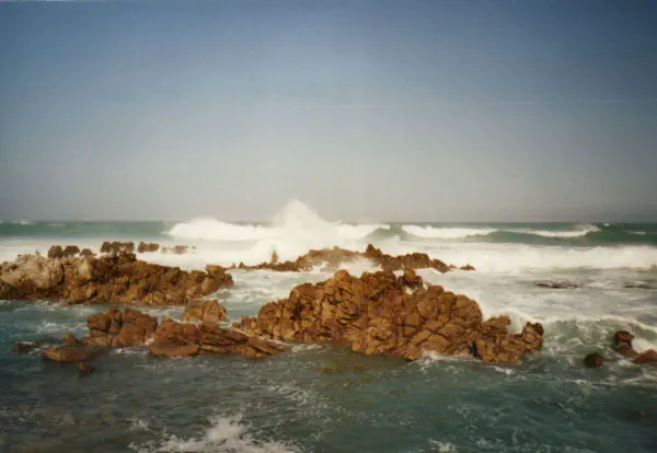 On our way from Knysna to Stellenbosch