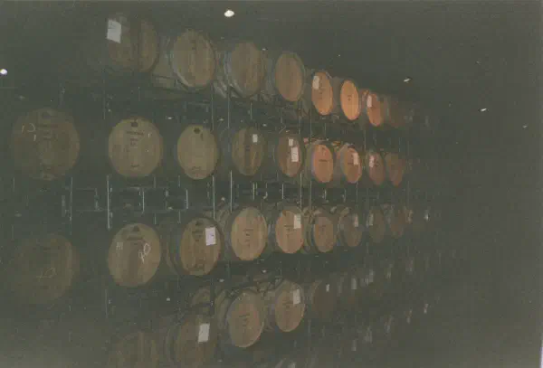 Wine cellar somewhere around Stellenbosch