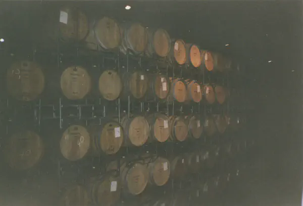 Wine cellar somewhere around Stellenbosch