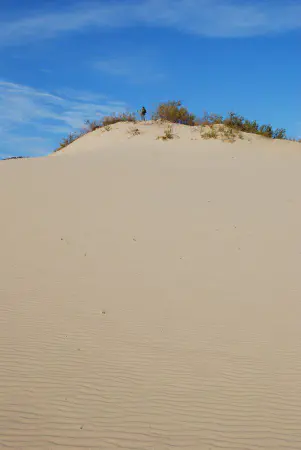 The top of Parnidis dune