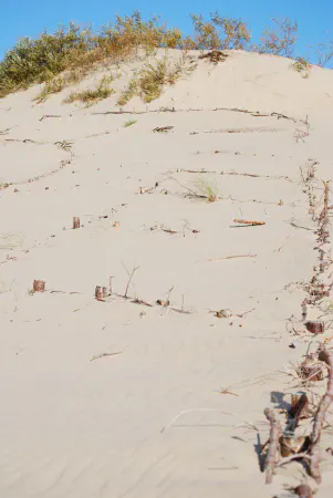 Some kind of structure in the sand of Parnidis dune