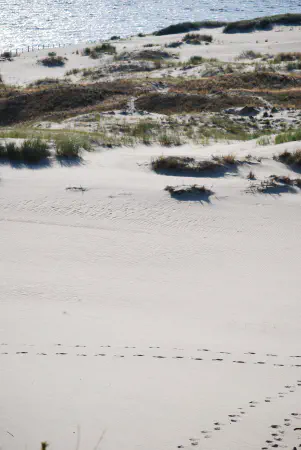 Our footsteps in the serene sand dune