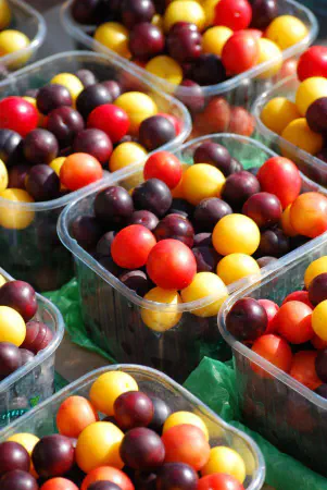 Cherry tomatoes (all of them?)