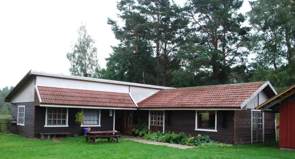 Mushroom soup, coffee, piece of pizza and apple cake. What a great lunch!