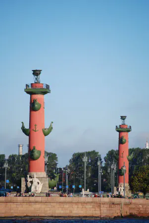 Rostral columns
