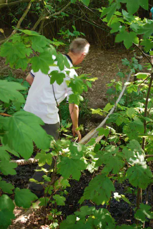 At the Bamboo garden Indo Suka Import we took a walk through the bamboo 