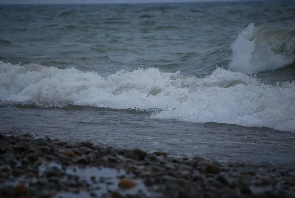 Rondeau Provincial Park