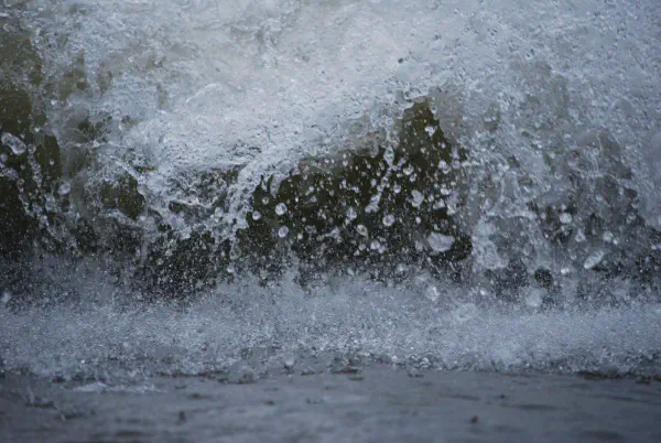 Rondeau Provincial Park
