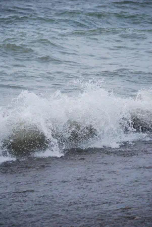 Rondeau Provincial Park