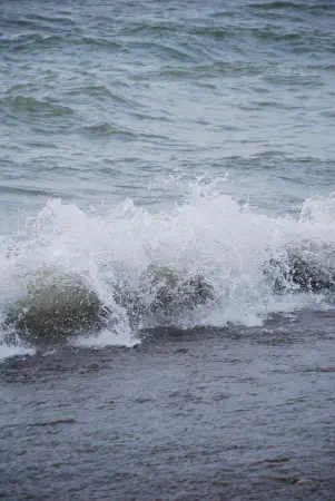 Rondeau Provincial Park