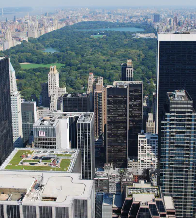Central Park seen from the Top of the Rock