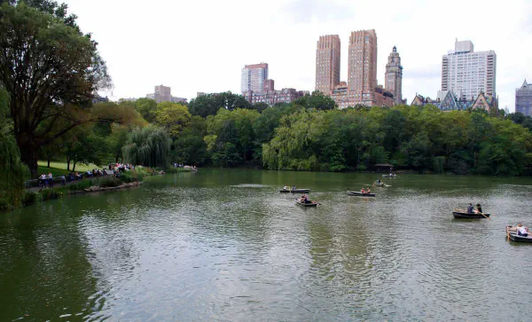 The Lake at Central Park
