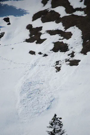 A small avalanche slid down the mountain