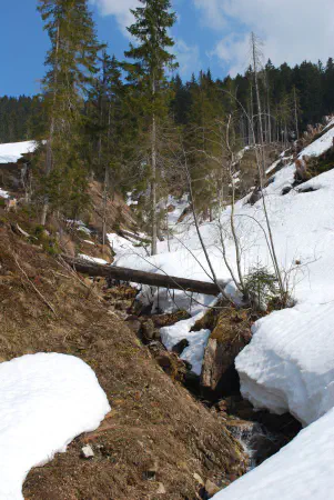 The melting snow created multiple small streams down the mountain