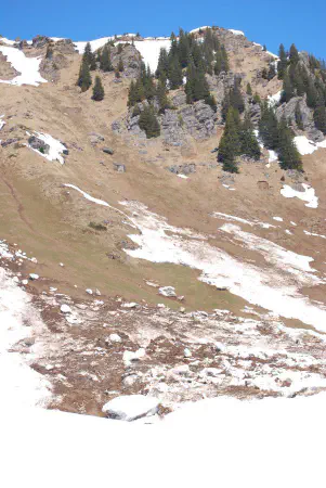 Near M&auml;gisalp (ca 1700m) the snow started to melt