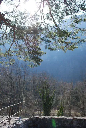 A tree grows on top of the ruin