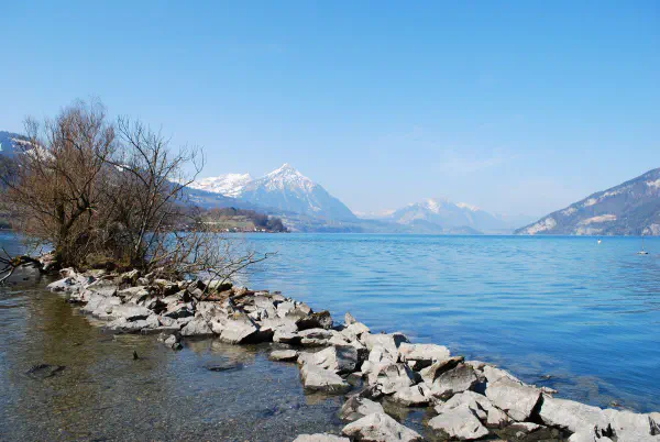 Thunersee