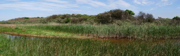 I went back to De Kwade Hoek, but now with my brother. The weather was much better.