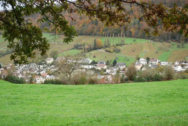 Overlooking Wettingen