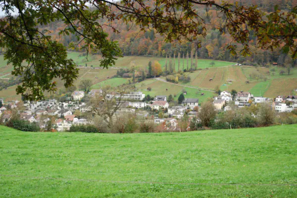 Overlooking Wettingen