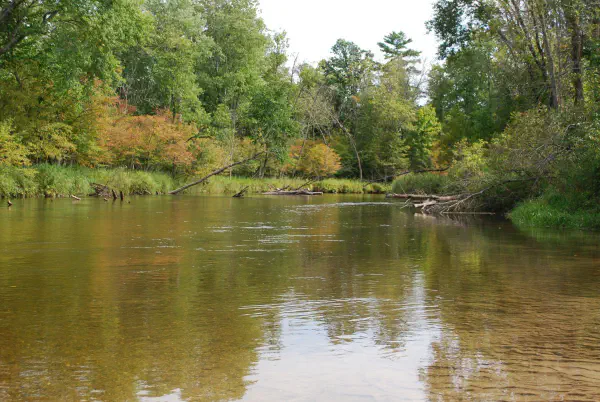 Just finished kayaking and stopped at the Bowman Bridge river access