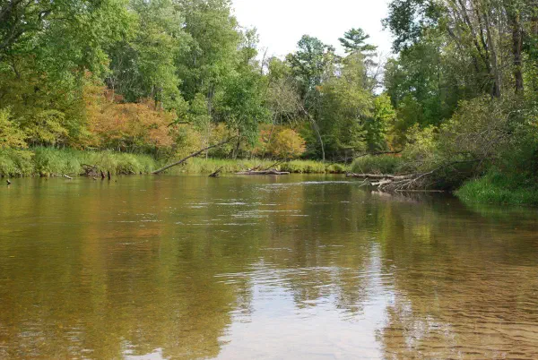 Just finished kayaking and stopped at the Bowman Bridge river access