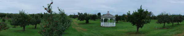 Gazebo at the orchard