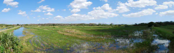Overlooking one of the experiments at Loxahatchee
