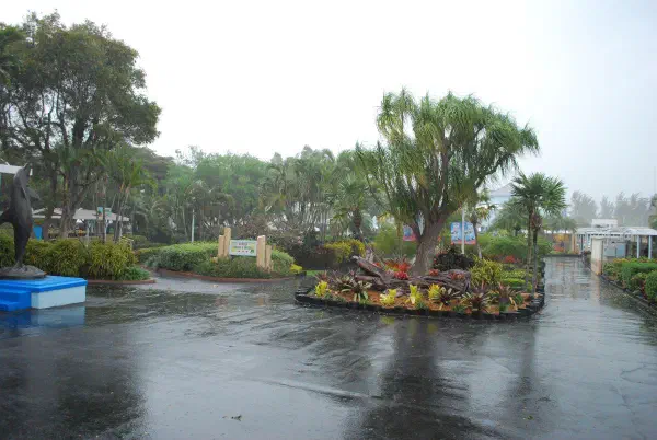 Our first, and quite big, thunderstorm