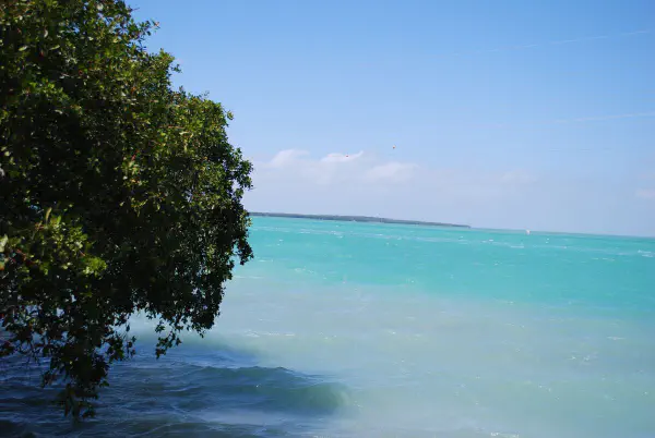 Atlantic ocean as seen from the Florida Keys