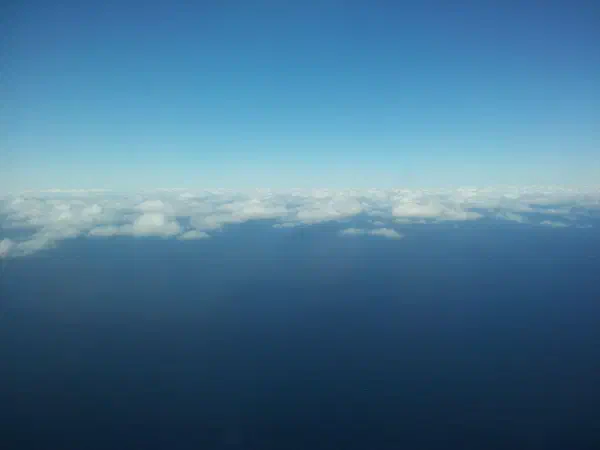 Back from FLA to DTW to AMS