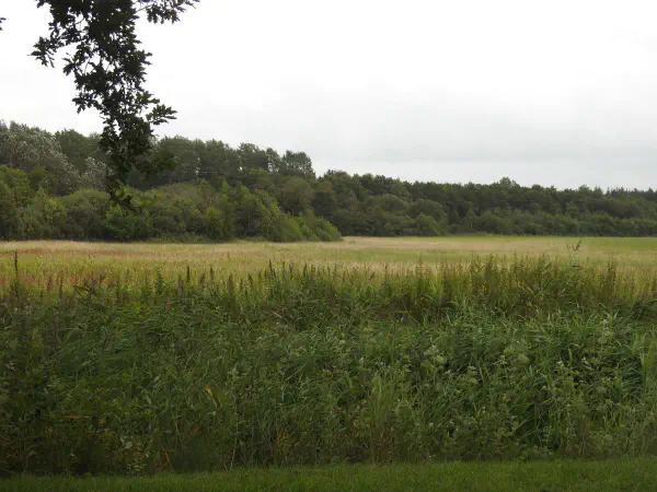Our view our vacation home at Lauwersoog