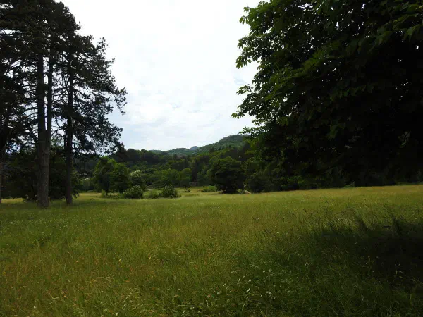 Nice park in Cetinje