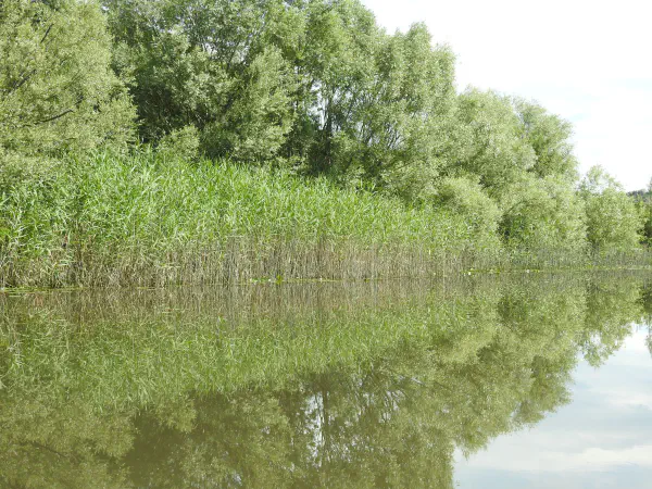 On our way to Skadar Lake