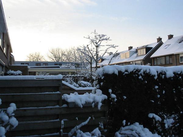 Snow March 2005