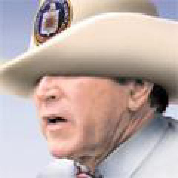 Bush