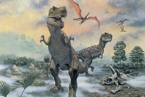 Dino Discovery