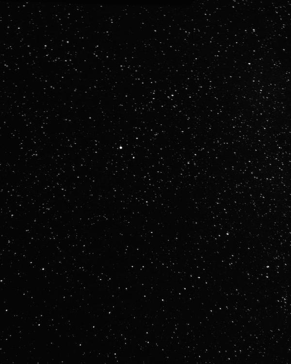 Simon's Cat in 'Fowl Play'