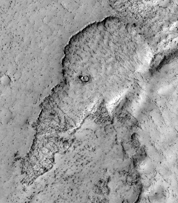 Elephant on Mars