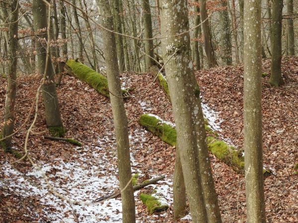 Germany Winter 2016